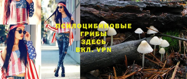 твердый Осинники