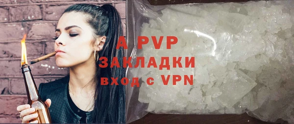твердый Осинники