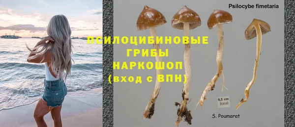 твердый Осинники