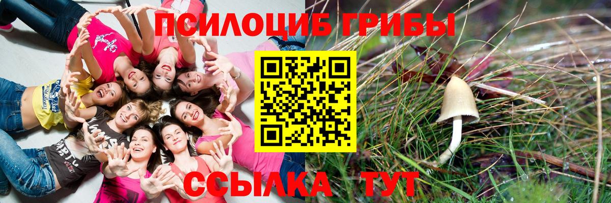 Галлюциногенные грибы мухоморы  Вход с VPN  Светлоград  Псилоцибиновые грибы Cubensis 