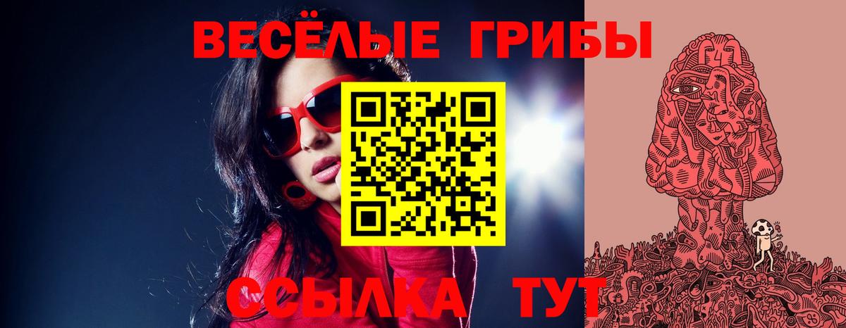 Галлюциногенные грибы ЛСД Светлоград