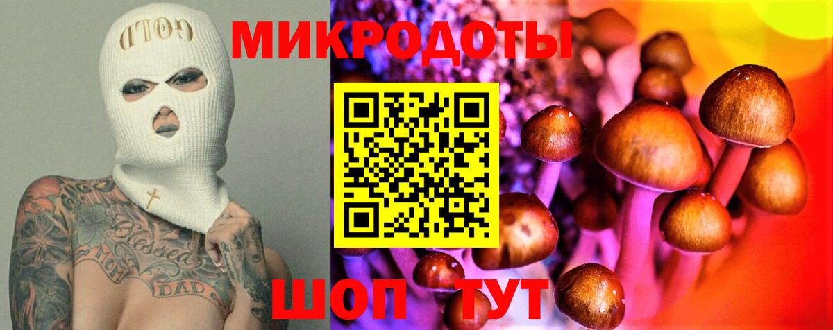 Галлюциногенные грибы мицелий  Псилоцибиновые грибы мицелий  Светлоград 