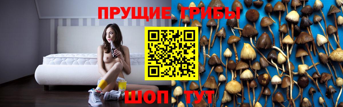 Псилоцибиновые грибы GOLDEN TEACHER Светлоград